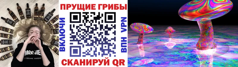 Галлюциногенные грибы Cubensis купить наркотики сайты Павловск